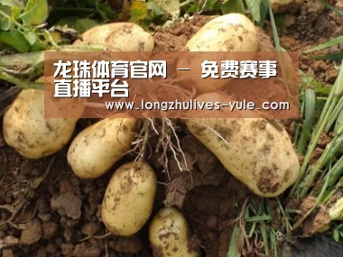 种植基地六