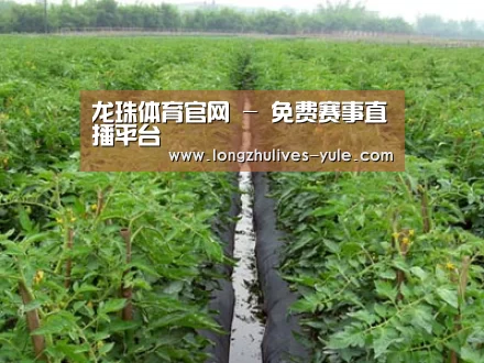 种植基地三