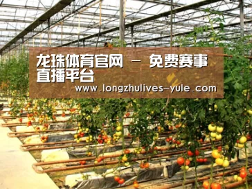 种植基地二