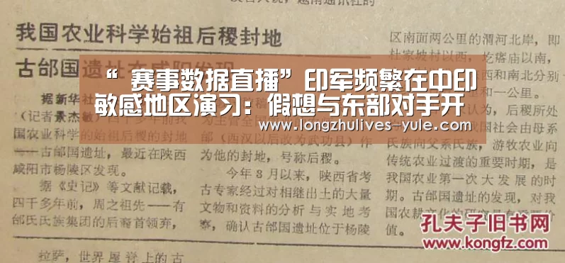  篮球直播