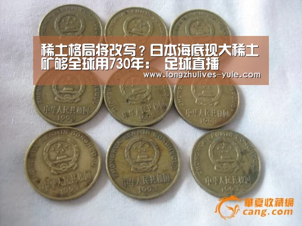  篮球直播