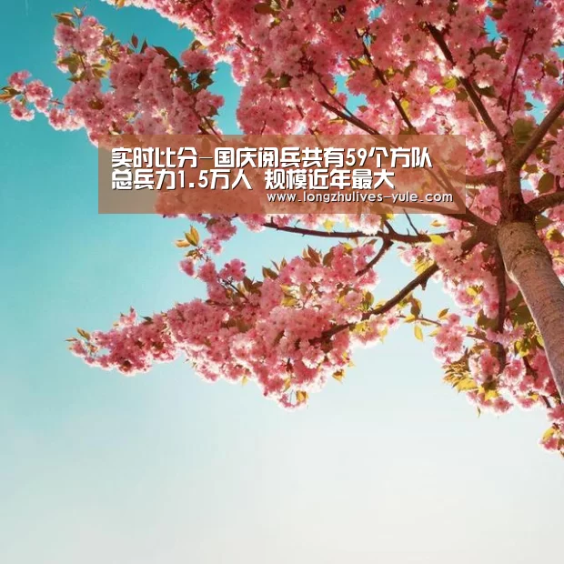 实时比分-国庆阅兵共有59个方队总兵力1.5万人 规模近年最大(图1) 实时比分